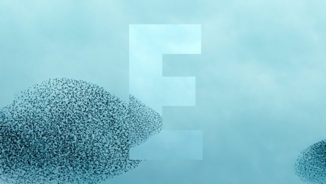 F5 – Science Grand Format